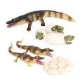 thumbnail image 1 of Ciclo los -4 piezas de la de los muestra de del bebé de Sunnimix  Juego de crecimiento de insectos para niños, 1 of 8