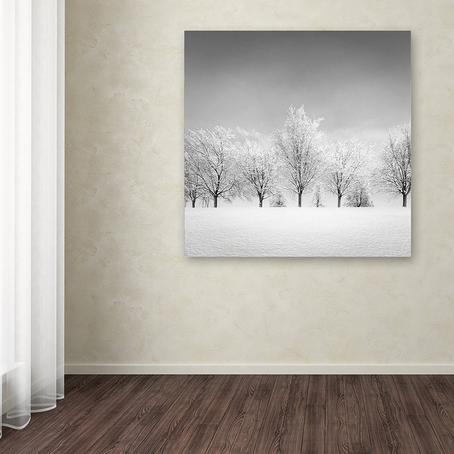 Dave MacVicar 'Ice Storm' Canvas Art