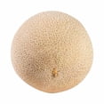 thumbnail image 1 of Melón chino por kilo, 1 of 2