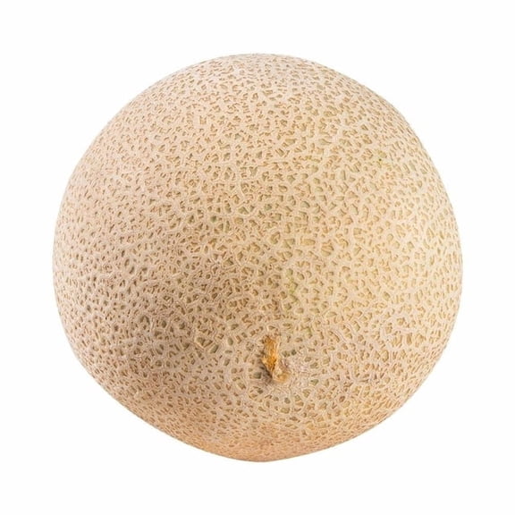 Melón chino por kilo