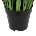 thumbnail image 4 of Vickerman 60" PVC Artificial Potted Green Sheep's Grass and Plastic Grass., 4 of 6