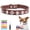 Coffee, variant on Newborn Brand Personalized Dog Collar PU Leather with Rhinestone Letters, Customized Sparkling Name Collar for Small Dogs Cats,Pink,8-10 inch,Small