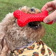 thumbnail image 5 of Alpha Pak - Arlo's Favorite Rubber Bone, 5 of 6