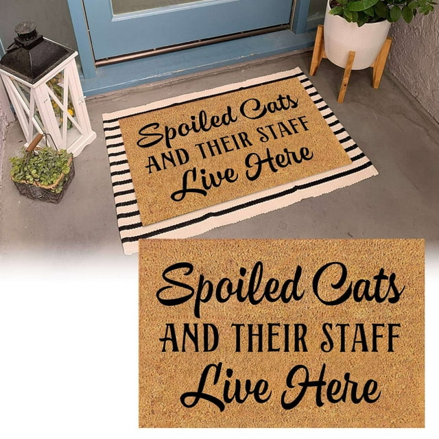 Tapis pour Chat / Paillasson Polyvalent pour Usage Intérieur et Extérieur / Tapis d'Entrée Élégant / Tapis Absorbant / Accessoire de Déco pour la Maison