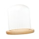 thumbnail image 5 of 2x de Visualización Soporte de Microciencia Base de E 12x12cm perfecl Cúpula transparente con base de madera, 5 of 8
