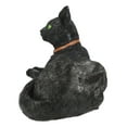 thumbnail image 5 of Green Eyed Black Cat With Crescent Moon Necklace Figurine, 5 of 8