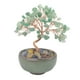 thumbnail image 5 of Estatua del árbol del dinero, figura decorativa, colección, escultura de prosperidad, arte artesanal. verde, 5 of 9