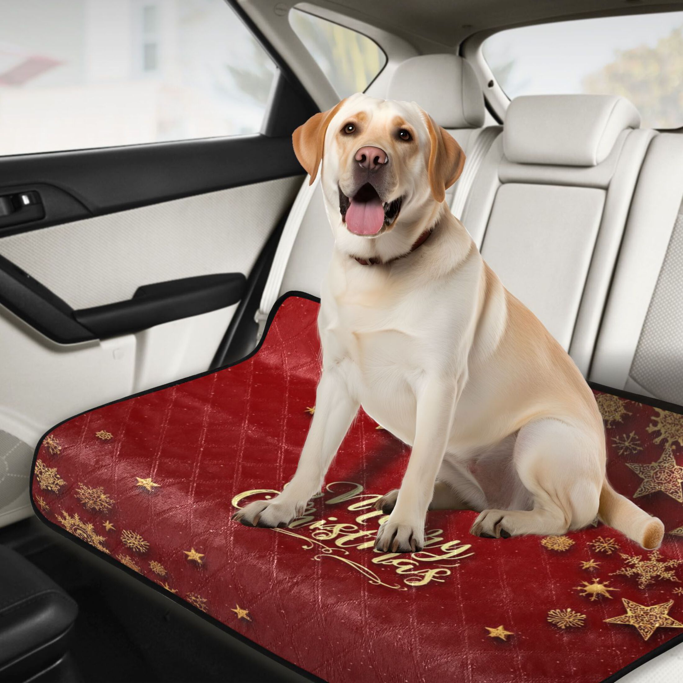 IAUYY Washable Pee Pads for Dogs Smallx3 Absorbent and Leak-Proof Non-Slip Reusable Puppy Pee Pads for Dogs Applicable to Playpen Potty Crate with Star Patterns