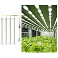 thumbnail image 4 of LED Grow Light with 8/12/16H Timer 5 Level Brightness Full 4 Head, 4 of 5