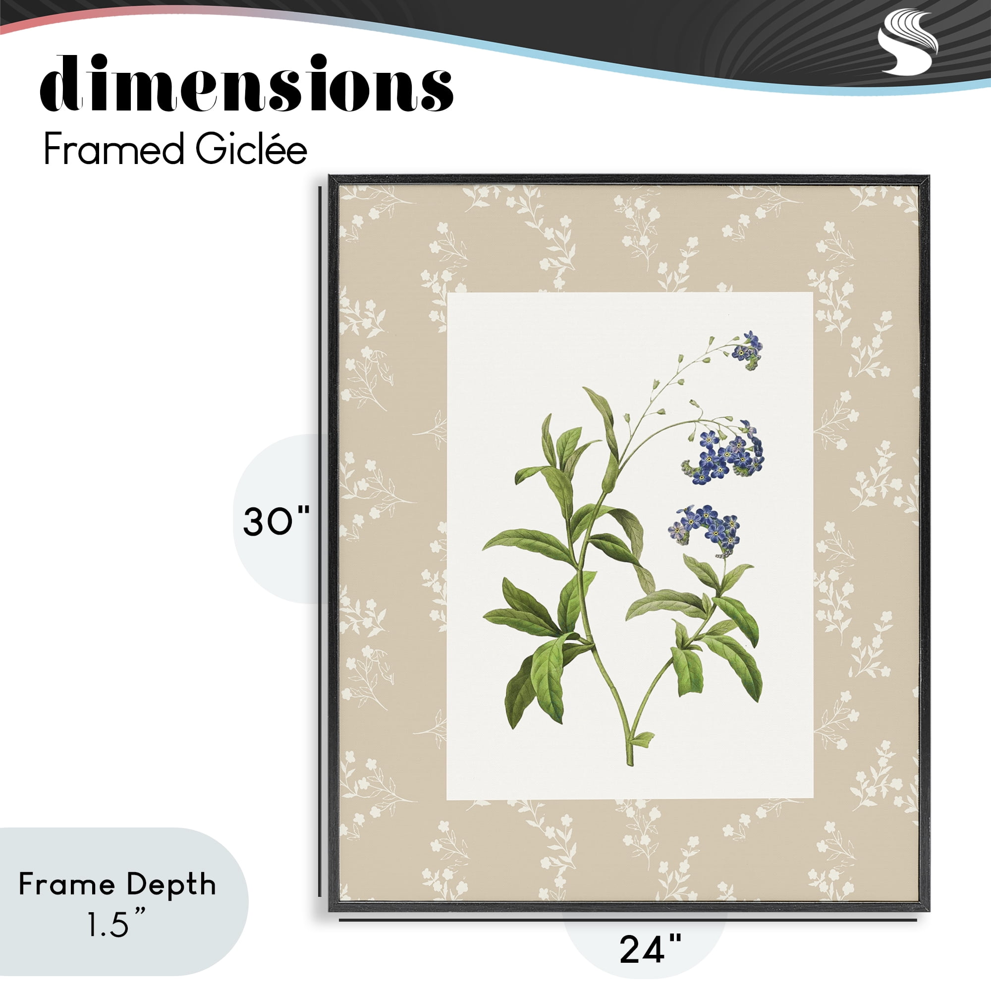 Stupell Industries Botanical Plate Design Black Framed Giclee Art, design by Val Rhodes