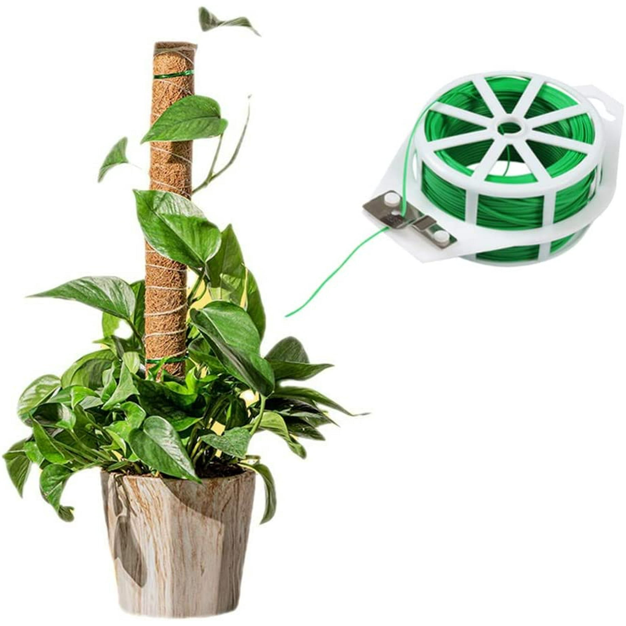 Fil Jardinage Vert avec Coupe, Fer Plastifie Attaches Jardin Attache Plante  Tomates Cravates en pour Organisation Jardinage à Domicile