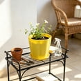 thumbnail image 5 of romoty Flower Petal Shaped Plastic Plant Pot with Saucer Yellow, 6.3 in Lightweight Decorative Succulent Planter with Drainage Hole for Indoor Outdoor Desk Garden Decor, 5 of 6