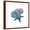 Brown Frame, variant on Art.com Ocean Hues Starfish and Sand Dollar Art Print by Albert Koetsier, 16" x 16"