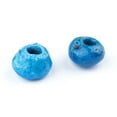 thumbnail image 4 of The Bead Chest Vintage Glazed Ceramic Donkey Beads 2 Beads 22mm Middle East Blue Round Glass Large Hole, 4 of 4