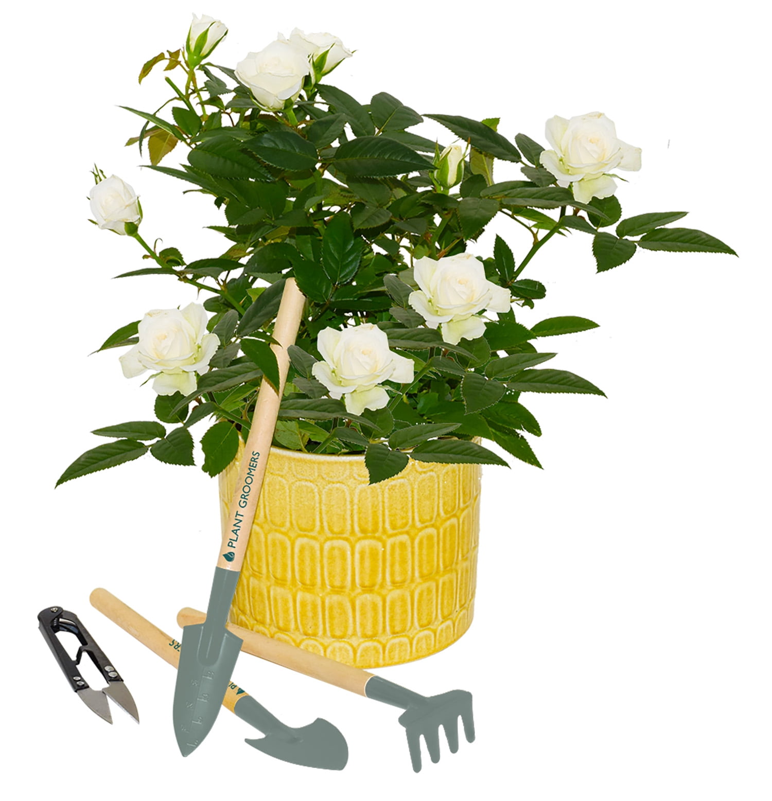 Vintage Garden Kit with Pots & Tools – Nature-Print Ceramic Planters Indoor Gardening Starter Set