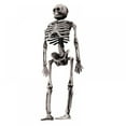 thumbnail image 3 of 6” Posable Skeleton Mini Skull Halloween Decoration  Set of 4, 3 of 9