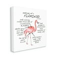 thumbnail image 3 of Stupell Industries Flamingo Bird Facts Chart Educational Wildlife Animals Graphic Art Gallery Wrapped Canvas Print Wall Art, Design by Dishique, 3 of 7