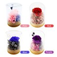 thumbnail image 2 of Amdohai Vraie Fleur de Rose Préservée Rose Éternelle en Verre Parfumée pour Toujours, 2 of 7