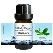 Ravensara Essential Oil 10ml - 100% Pure - by Butterfly Express
