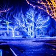 thumbnail image 5 of 50 Premium-Grade Blue LED Christmas Lights, 25.5' Long Life Connectable for Tree Party Holiday Decoration, 5 of 6