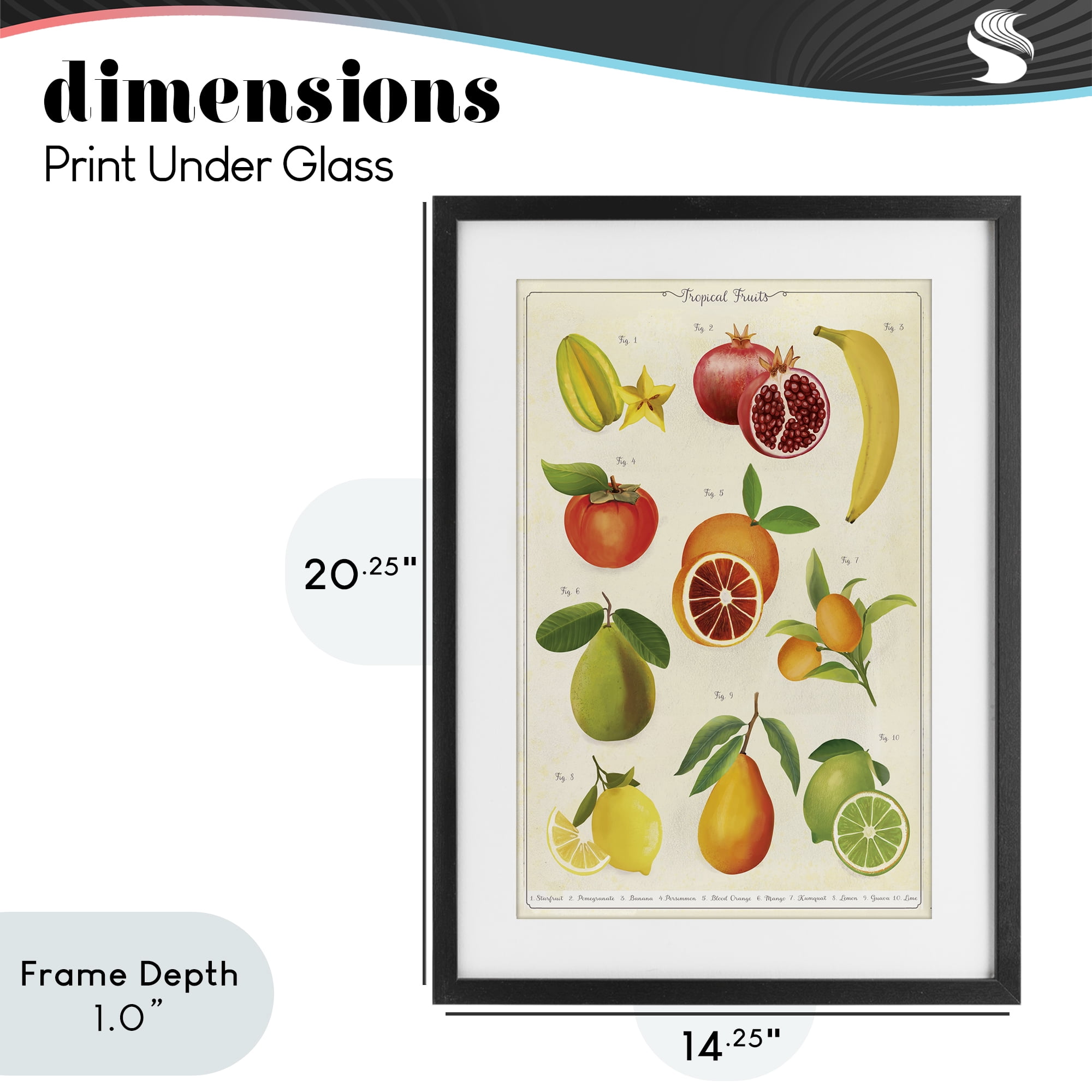 Stupell Industries Vintage Tropical Fruit Studies Black Framed Print Under Glass, design by Diane Neukirch