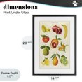 thumbnail image 4 of Stupell Industries Victorian Vintage Tropical Fruit Studies Black Framed Print Under Glass, 14 x 20, by Diane Neukirch, 4 of 8