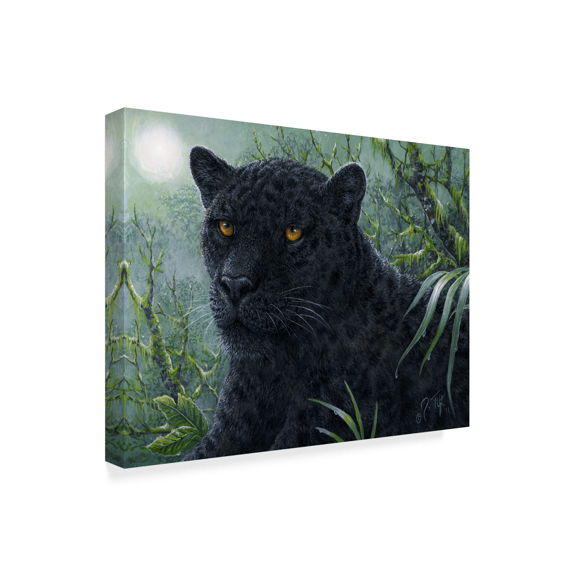 Trademark Fine Art 'Black Beauty' Canvas Art by Jeff Tift