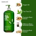 thumbnail image 2 of Majestic Pure Tea Tree Shampoo for Men and Women- Hydrating Formula Fights Dandruff, Lice and Itchy, Irritating or Dry Scalp - for All Hair Types - Sulfate Free - 16 fl oz, 2 of 7