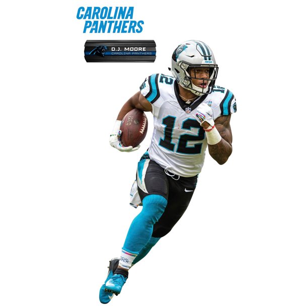 Officially Licensed NFL Carolina Panthers Black Legacy