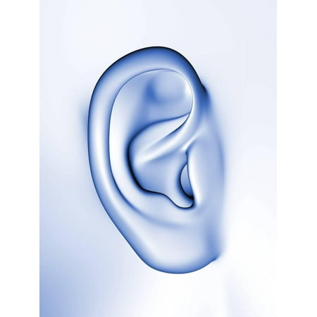 human ear print wall