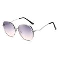 thumbnail image 1 of Lunettes de Soleil de Mode Simples à Tailler Irrégulières, en AC, 1 of 5