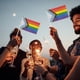 thumbnail image 5 of Decoración Pride Flags Rainbow Gay Banner Celebration LGBT Parades Party Decor (12 piezas) Tmvgtek Original, 5 of 5