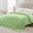Sage, variant on Throw Blanket, Queen Size Soft & Warm Cream Blanket for Sleep Snap, Lightweight Reversible Bed Blankets and Cozy Throws for Bedroom Office Travel Camping & Home Decor, Sage