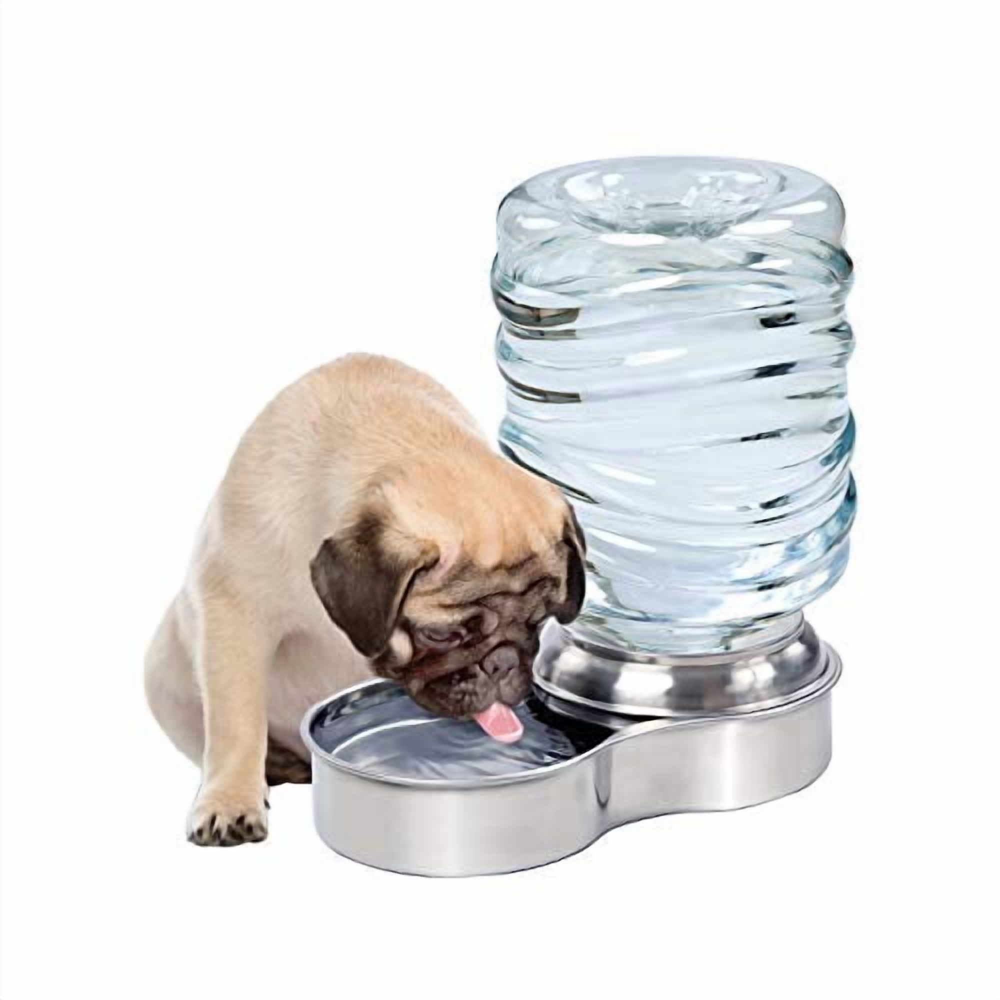 ETNA Products Dog and Cat Water Fountain, Stainless Steel, 1 Gallon