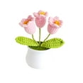 thumbnail image 3 of Abbracc Crochet Flower Mini Potted Artificial Plants for Car Dashboard Desktop Shelf Style E, 3 of 9