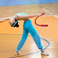 thumbnail image 1 of Minkissy Corde Courte avec Poignée Lestée Rouge pour Entraînement Physique et Activités Intérieures Lot de 1, 1 of 8