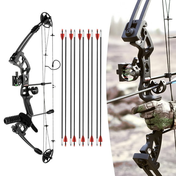 ChicHomey Compound Bow for Hunting & Archery,Adjustable Draw Weight,3-Pin Sight with Lighting,12 Arrows,for Adults Beginners Intermediate Archers