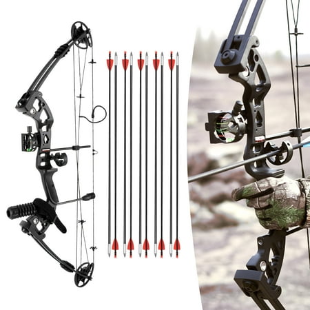 ChicHomey Compound Bow for Hunting & Archery Adjustable Draw Weight 3-Pin Sight with Lighting 12 Arrows for Adults Beginners Intermediate Archers