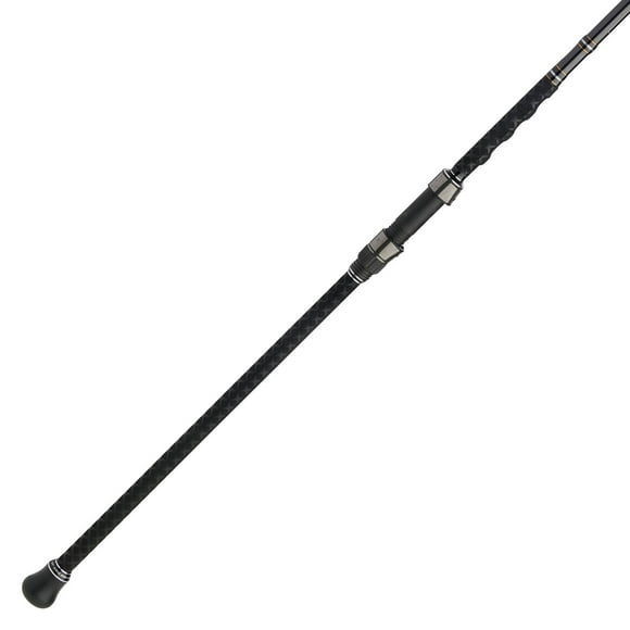 Penn Carnage III Surf Conventional Spinning Fishing Rod, 10’, Loads 15 – 30 Lbs, Black