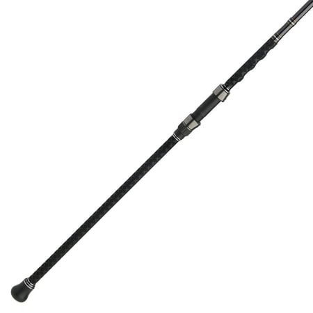 Penn Carnage III Surf Conventional Spinning Fishing Rod 10' Loads 15 - 30 Lbs Black