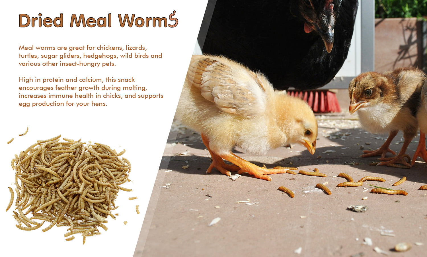 Rural365 Dried Mealworms for Chickens 11 Pounds Protein Filled Chicken Treats