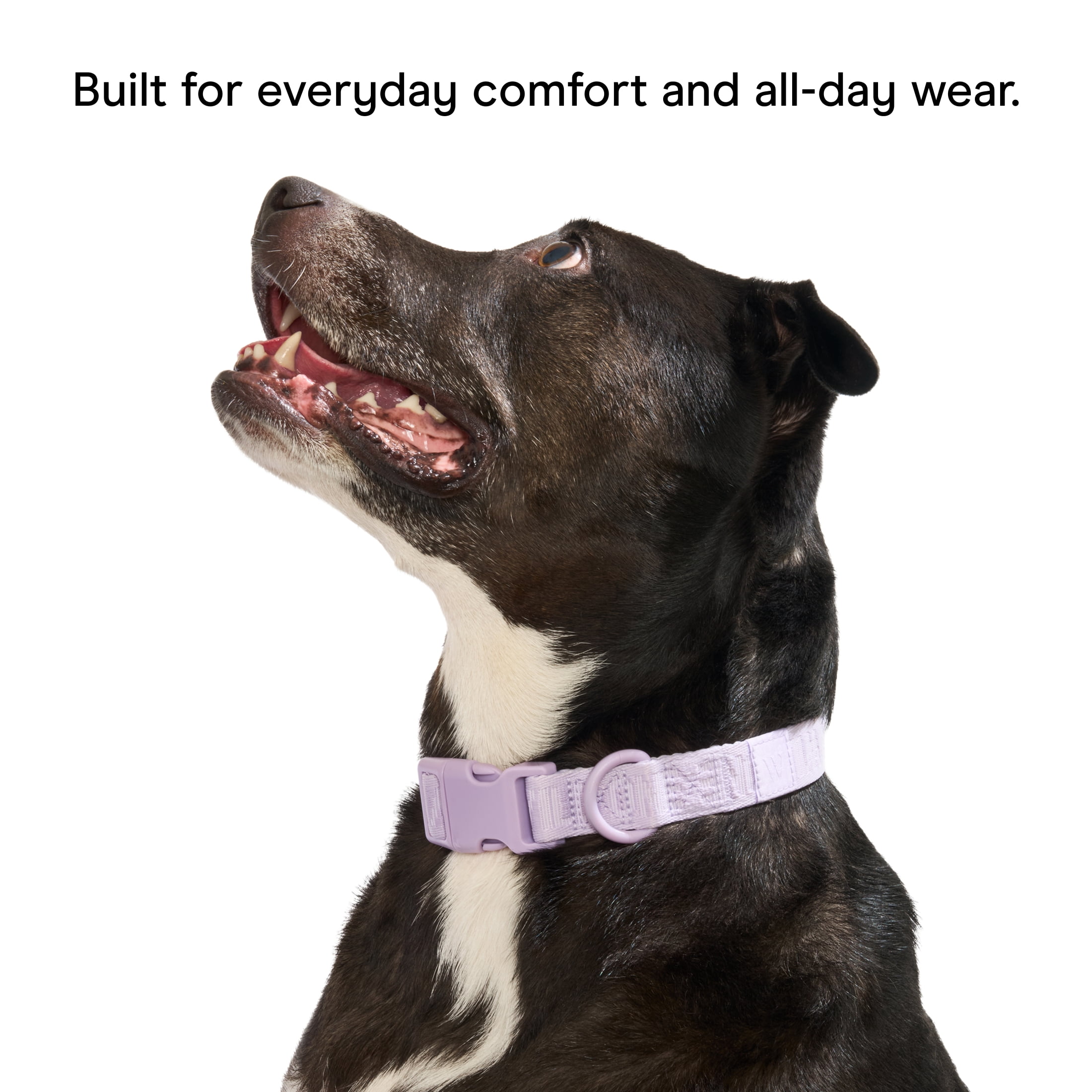 Wild One Quick-Release Adjustable Dog Collar, Lilac Purple, Large/X-Large