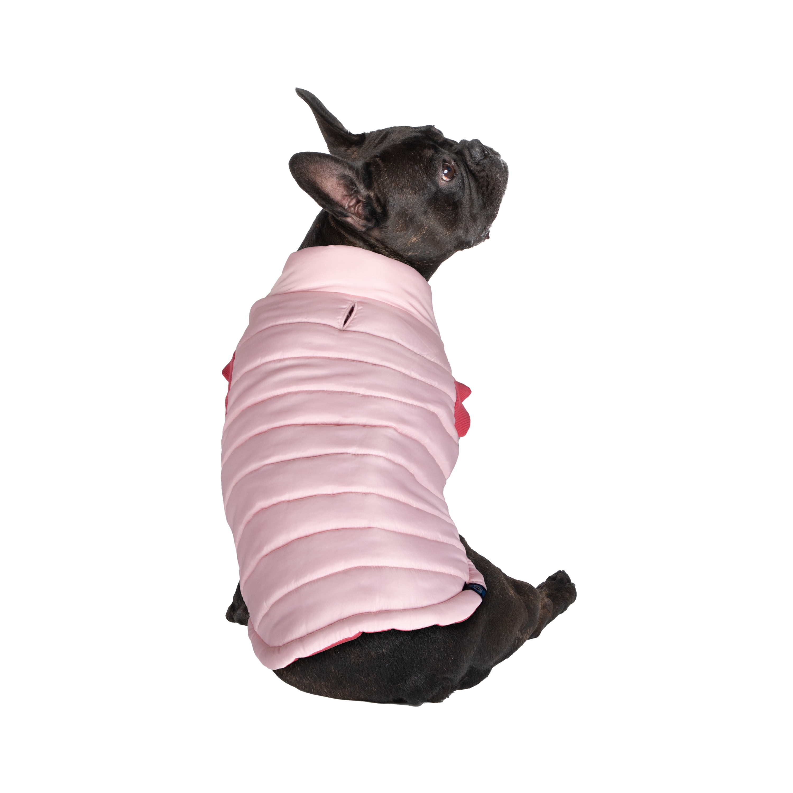 Gap Pet Dog Clothes Pink Bomber Pet Jacket Walmart pet-winter-jacket-puppy-jacket-pet-coat-pet-sweater-dog-jacket-etsy