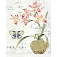thumbnail image 2 of Gladding, Pamela 15x18 Gold Ornate Wood Framed with Double Matting Museum Art Print Titled - Orchid II, 2 of 4