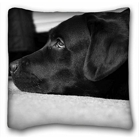 WinHome Standard Pillow Case Animals Black And White Labrador Peter The Best Dog Animal Standard Pillowcase Size 18x18 Inches Two Side
