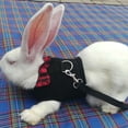 thumbnail image 4 of Cheers.US Rabbit Hamster Chest Strap Vest Harness Walking Leash Traction Rope Pet Supply,Adjustable, Comfortable, Wear-resistant for Party, Daily Wear, Traveling, 4 of 7