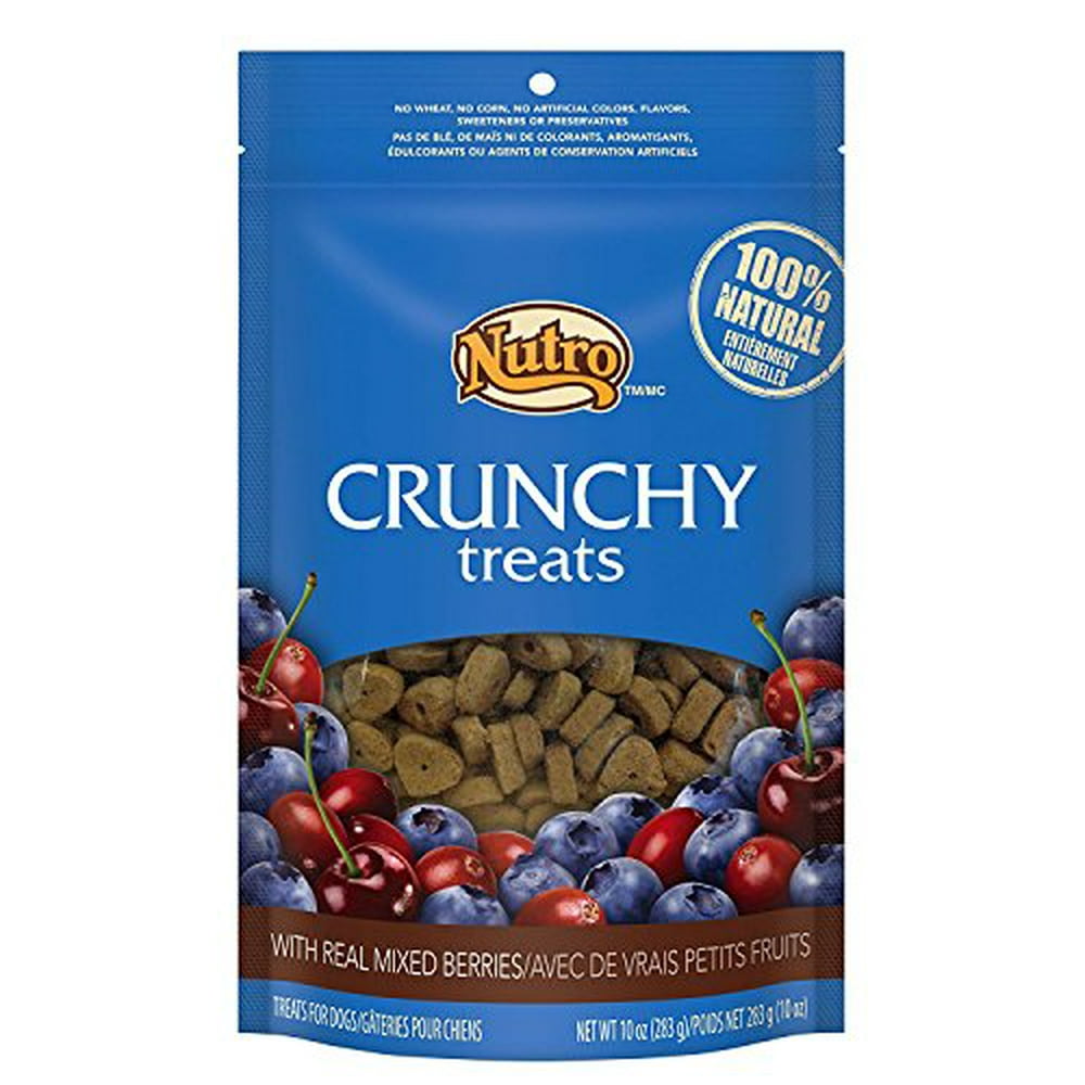 Nutro Crunchy Dog Treats with Real Mixed Berries 10oz 2 pack