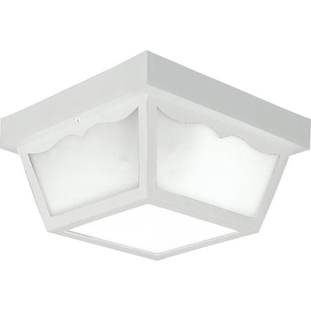 Two-Light 10-1/4  Flush Mount for Indoor/Outdoor use