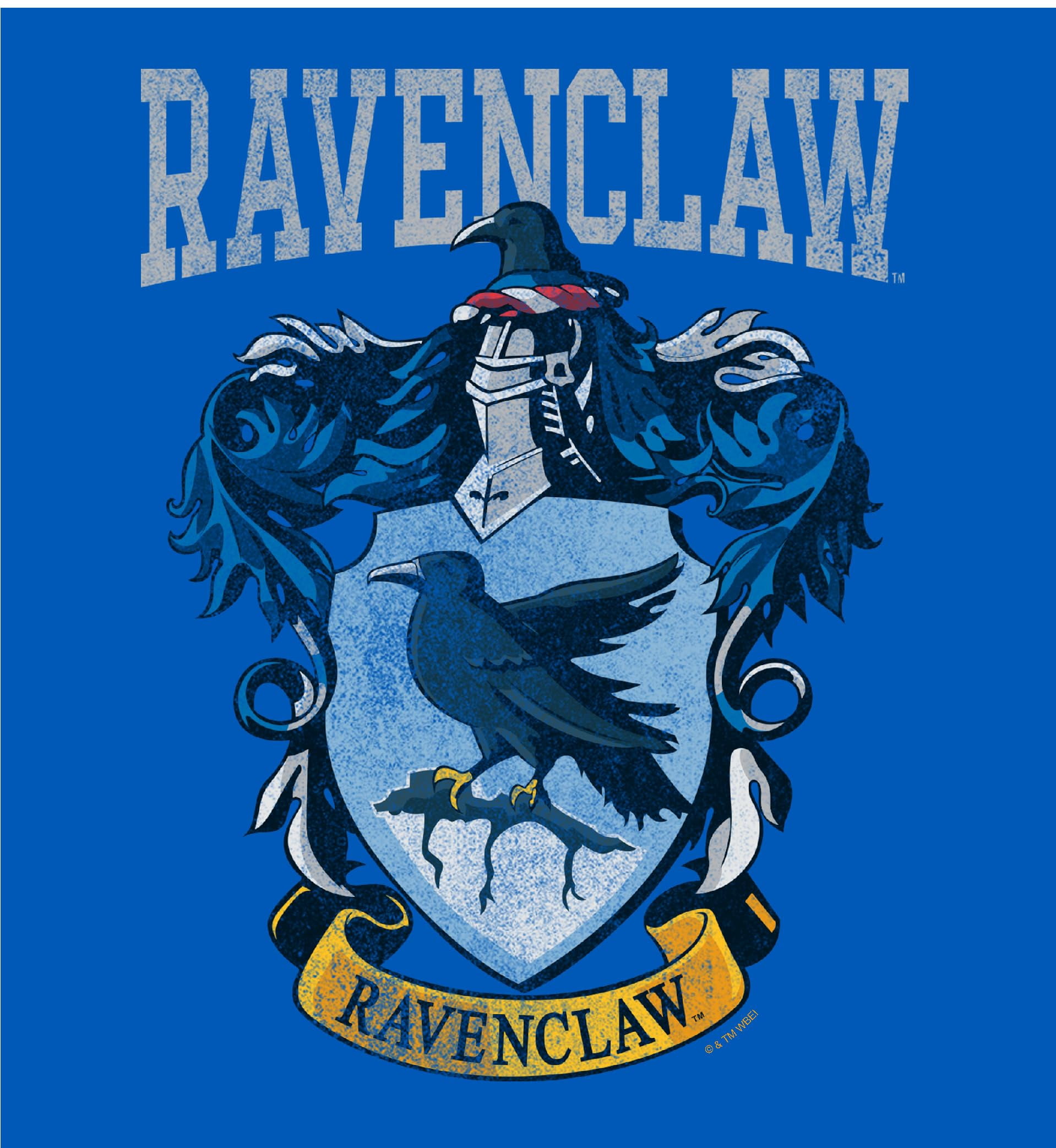 Harry Potter Ravenclaw Crest Long Sleeve Unisex Adult Hooded Sweatshirt-Large