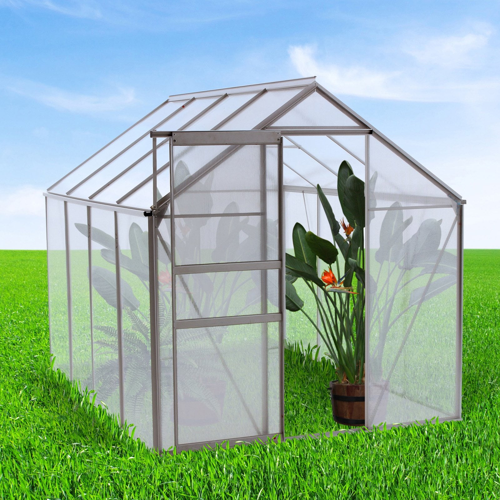 Ogrow Walk-in 6 x 8 ft. Lawn and Garden Greenhouse by Overstock